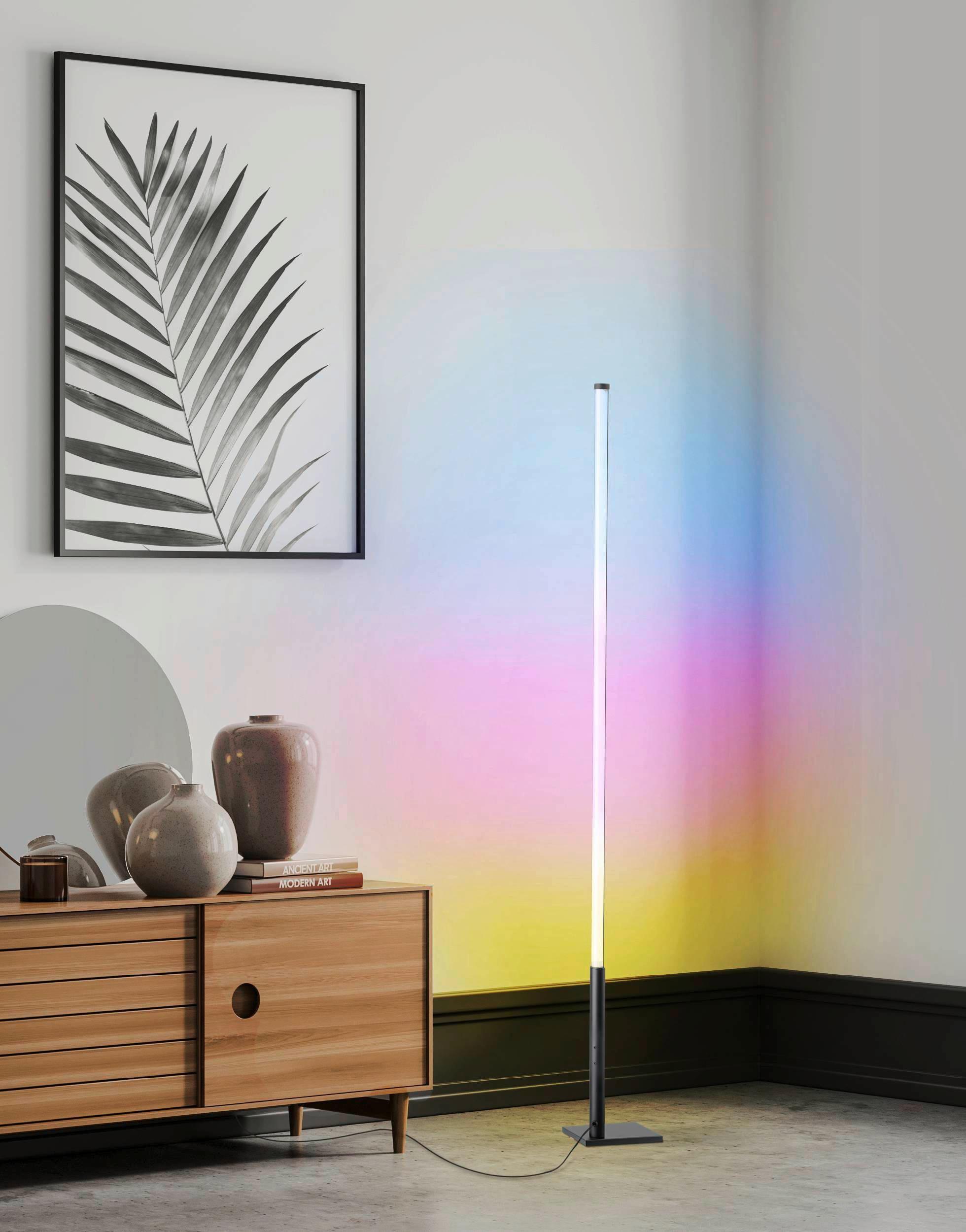 Stehlampe Picacha 1 Schwarz/Weiss - Schwarz/Weiß, Basics, Kunststoff/Metall (2/2/150cm) - Eglo