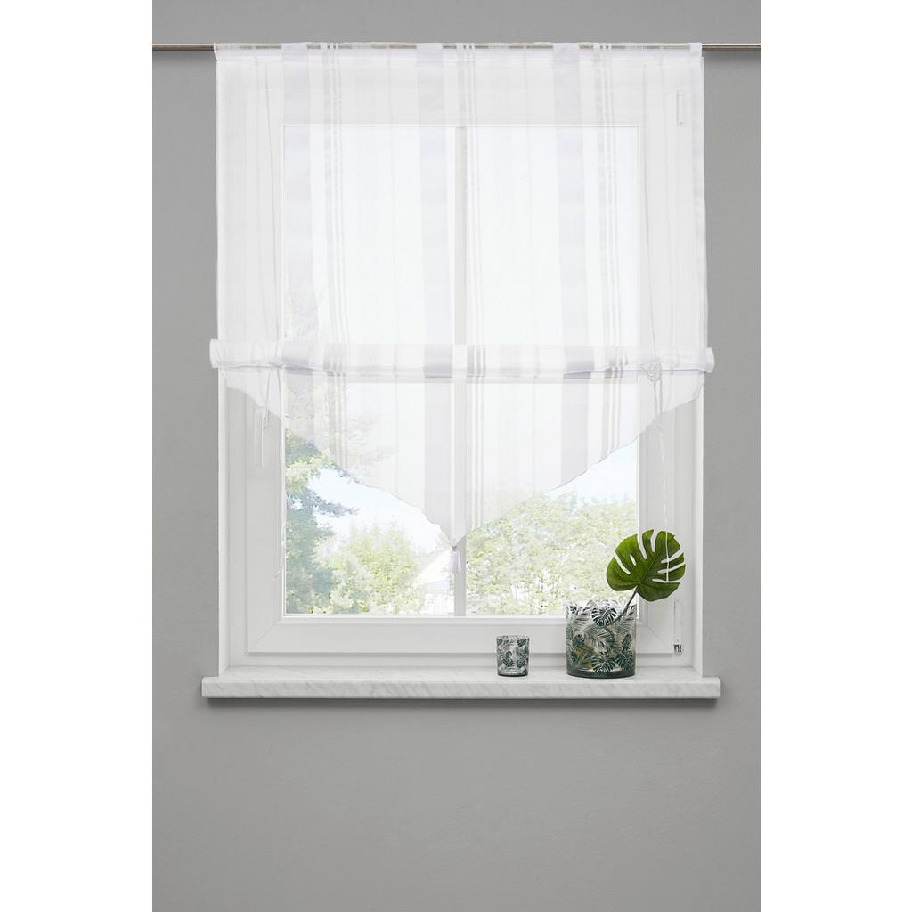 Raffrollo Milou Transparent 60x140 Cm Klettband