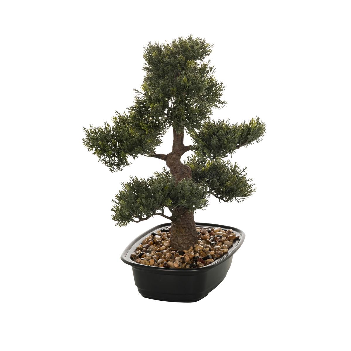 Bonsai Bonsai - Schwarz/Braun, Basics, Kunststoff (38/44/20cm) - MID.YOU