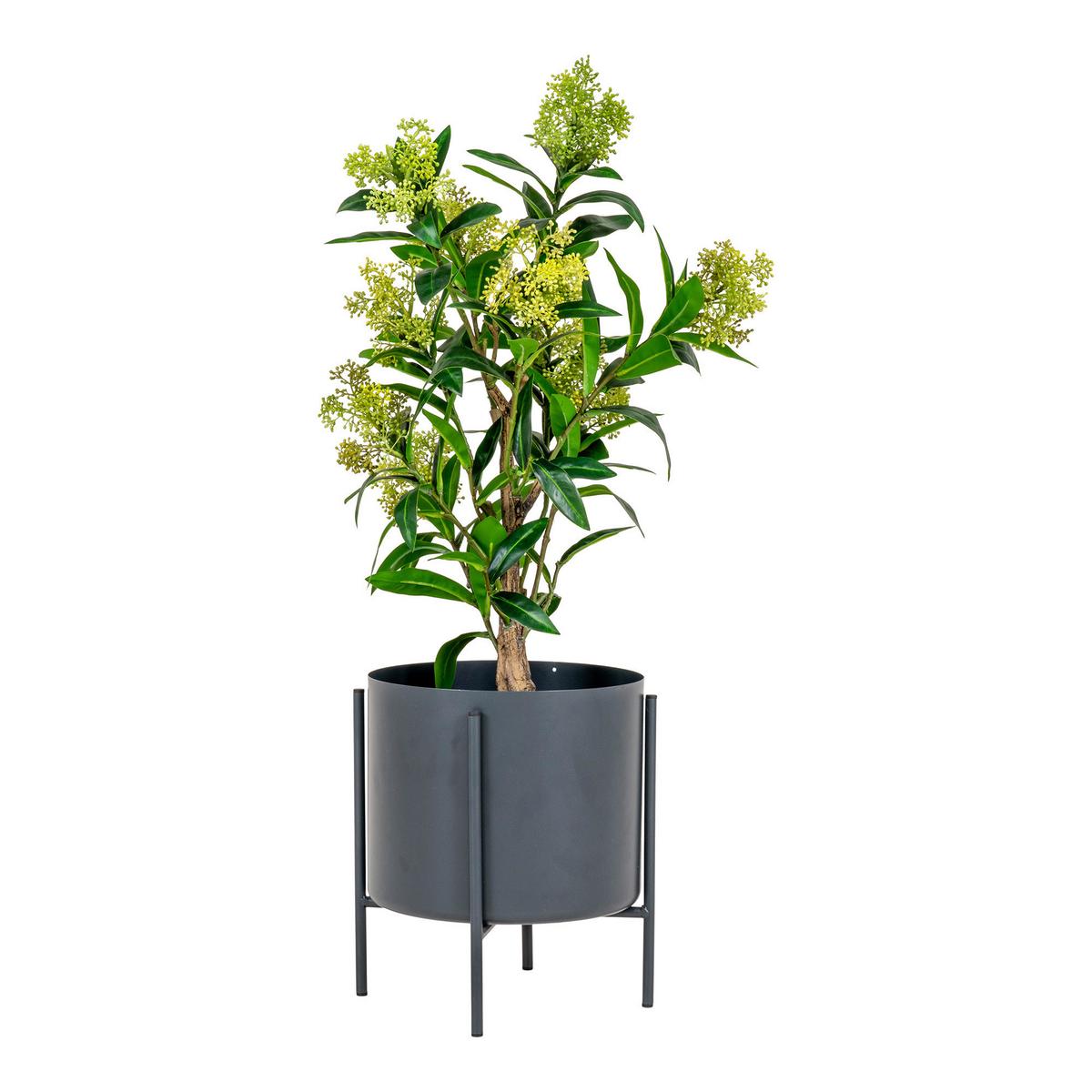 Kunstpflanze Skimmia H: 75 Cm Grün Schwarz - Schwarz/Grün, Basics, Kunststoff (75cm)