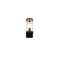 AUSSENWANDLEUCHTE R21596132 BONITO - Basics (9,5/23cm)