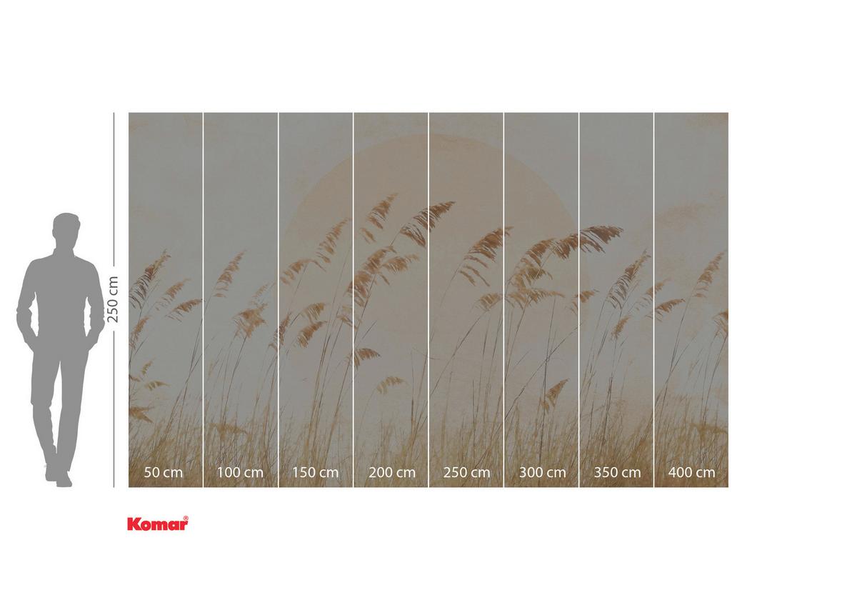 Vliestapete Dune Grass - Gelb/Braun, Basics (400/250cm) - Komar