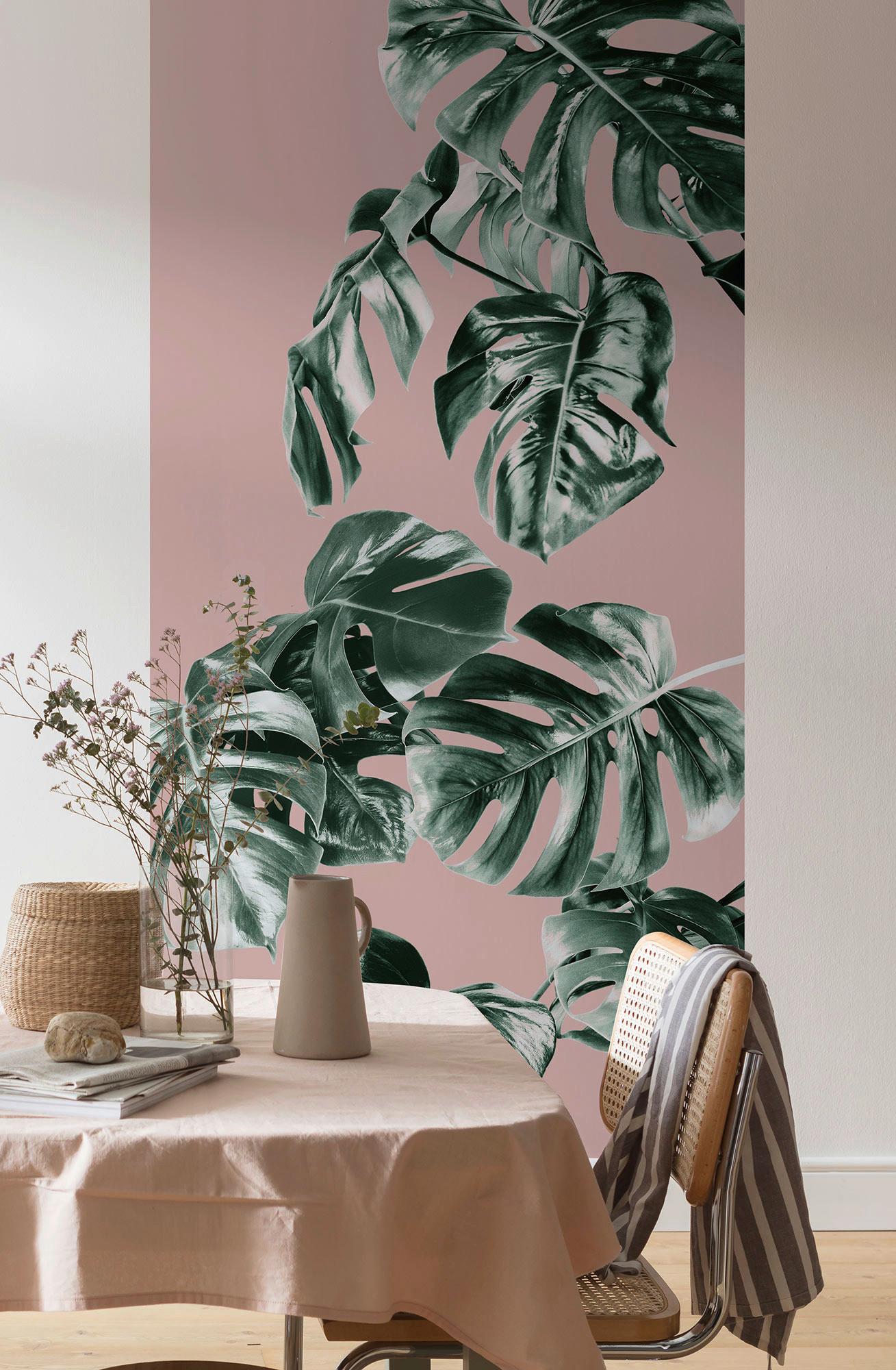 Vliestapete Monstera Rosé Panel - Rosa/Grün, Basics (100/250cm) - Komar