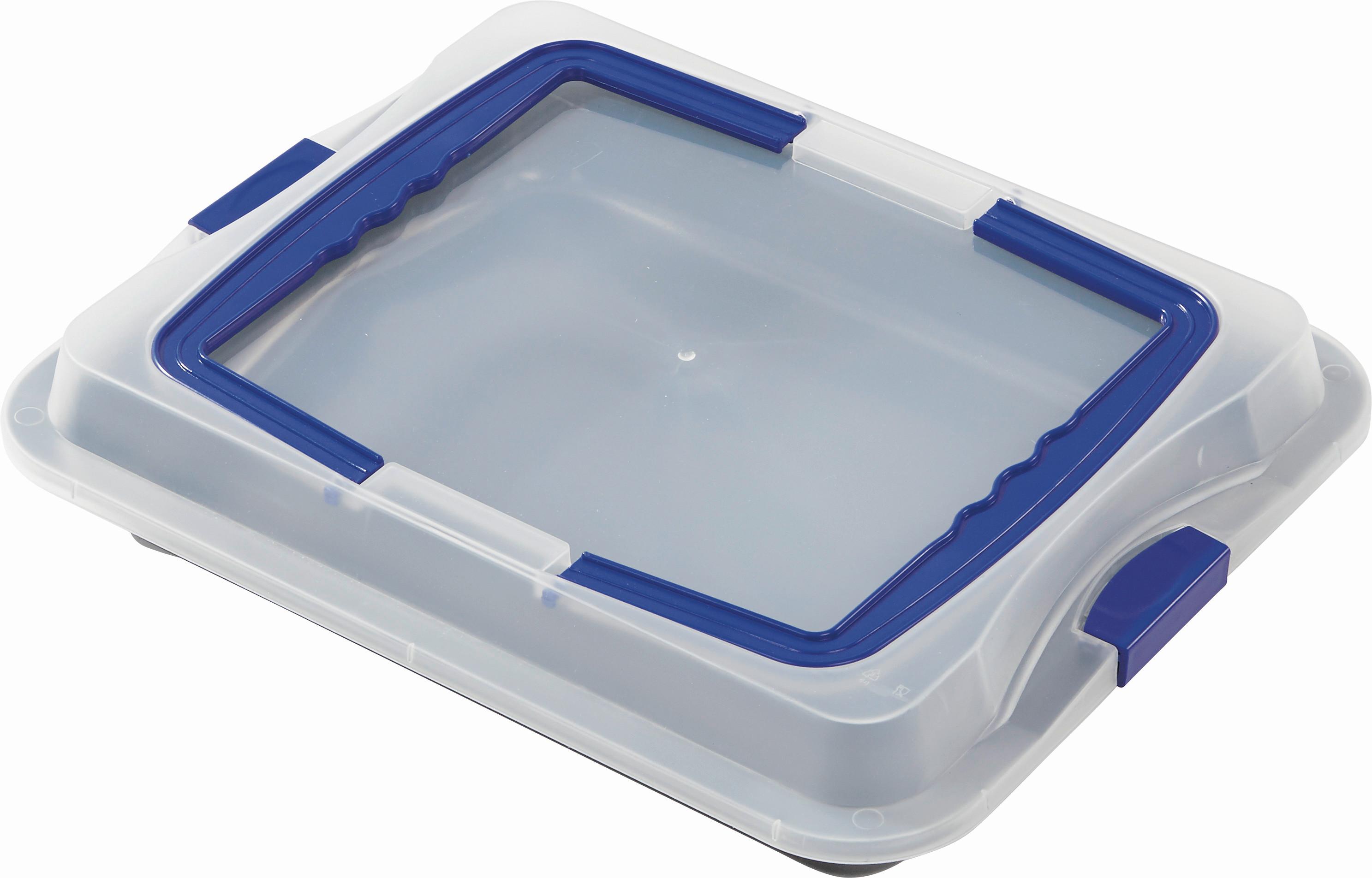 Kuchentransportbox Fee L/B/H: ca. 42/29/5 cm - Blau/Weiß, KONVENTIONELL, Kunststoff/Metall (42/29/5cm) - Luca Bessoni