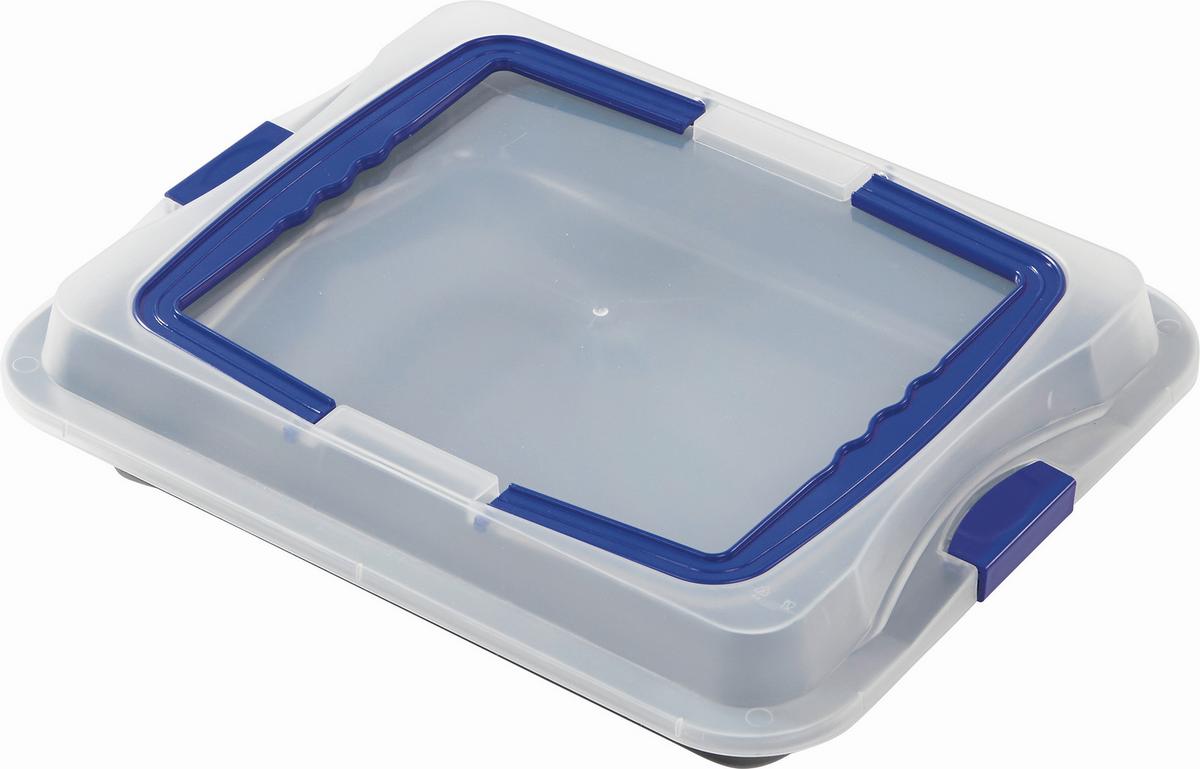 Kuchentransportbox Fee L/B/H: ca. 42/29/5 cm - Blau/Weiß, KONVENTIONELL, Kunststoff/Metall (42/29/5cm) - Luca Bessoni