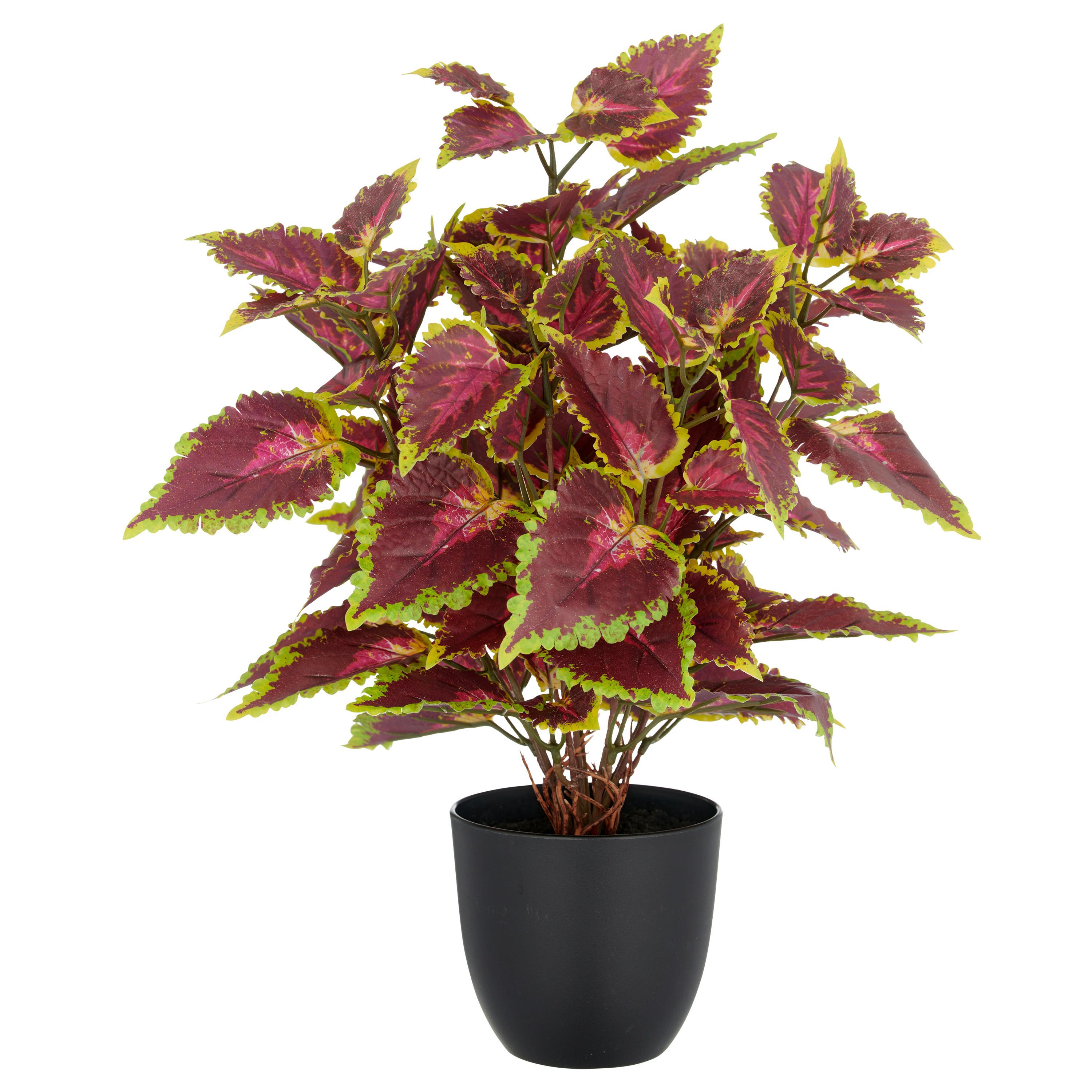 Kunstpflanze Coleus Kong Red Kunststoff, Creme/Rot, H:40cm - Gelb/Rot, Basics, Kunststoff (40cm) - P & B