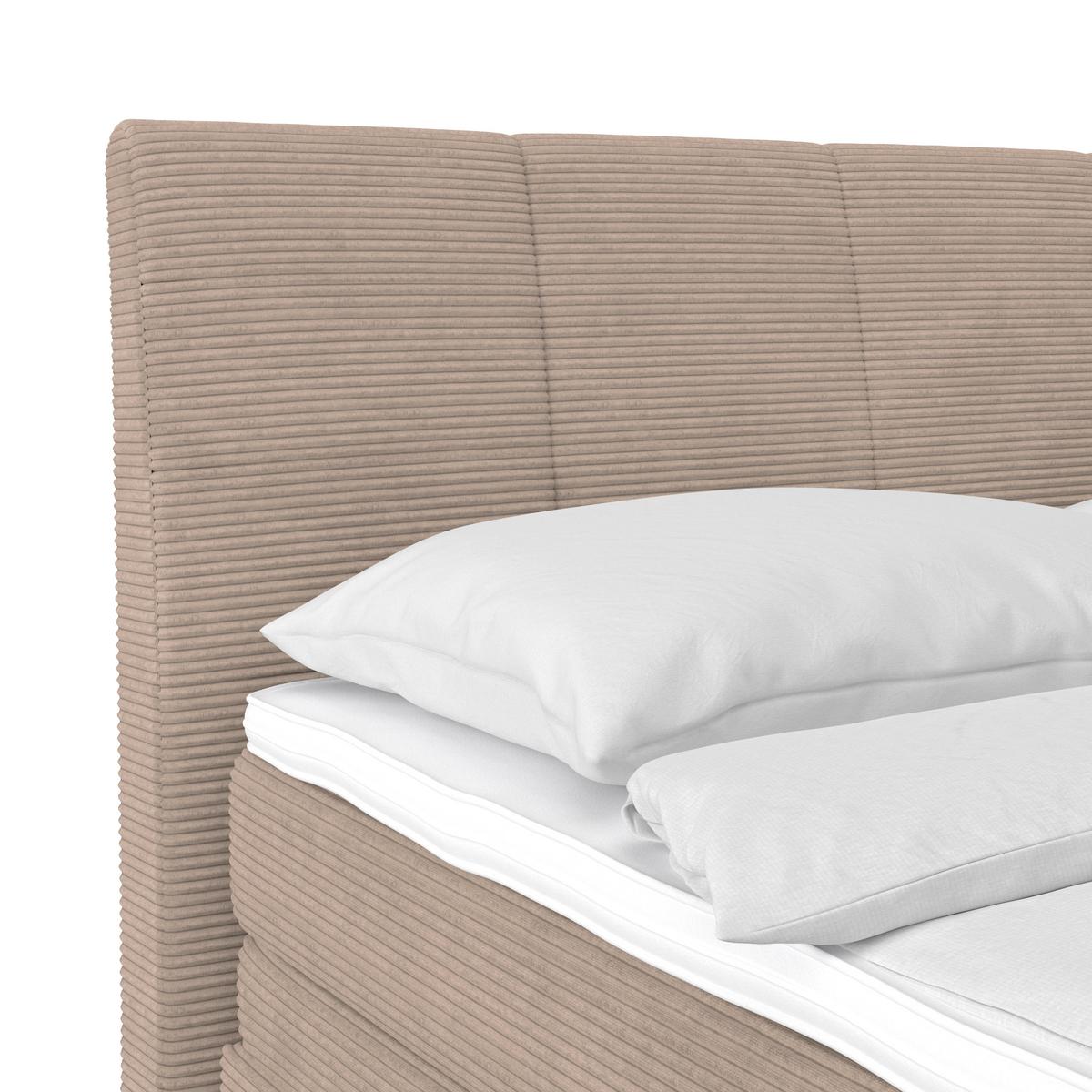Boxspringbett Libra - Schwarz/Braun, KONVENTIONELL, Textil (160/200cm)