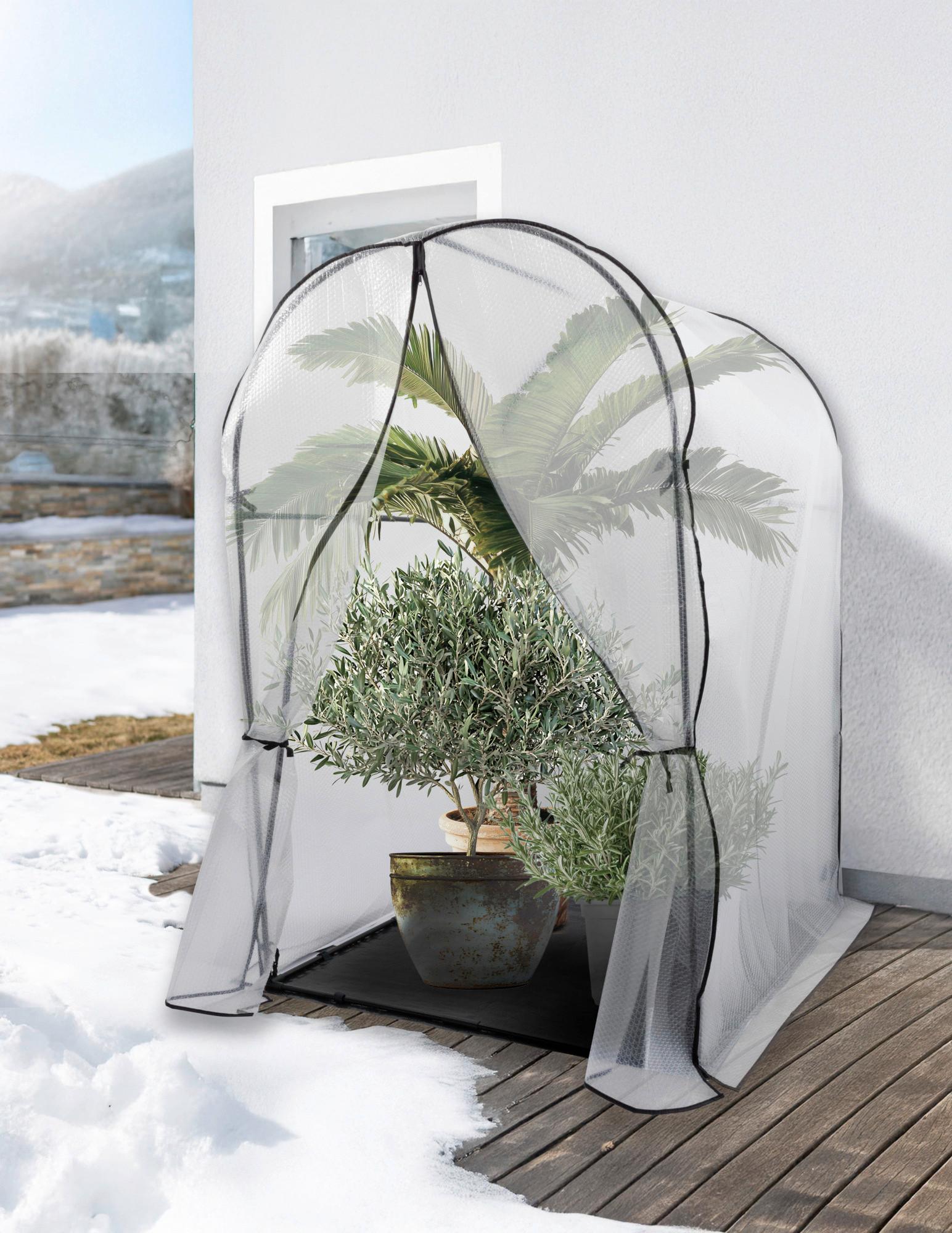 Winterschutzzelt Mediterraneo 120x180x120 cm - Transparent, Basics, Kunststoff (120/180/120cm) - Windhager