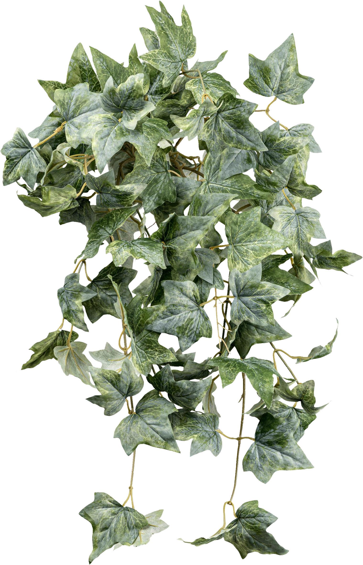 Kunstpflanze Efeu H: 70 cm - Grau/Grün, Design, Kunststoff (70cm) - P & B