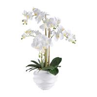 Kunstpflanze Orchidee H: 70 Cm - Weiß/Grün, Design, Kunststoff (70cm) - P & B