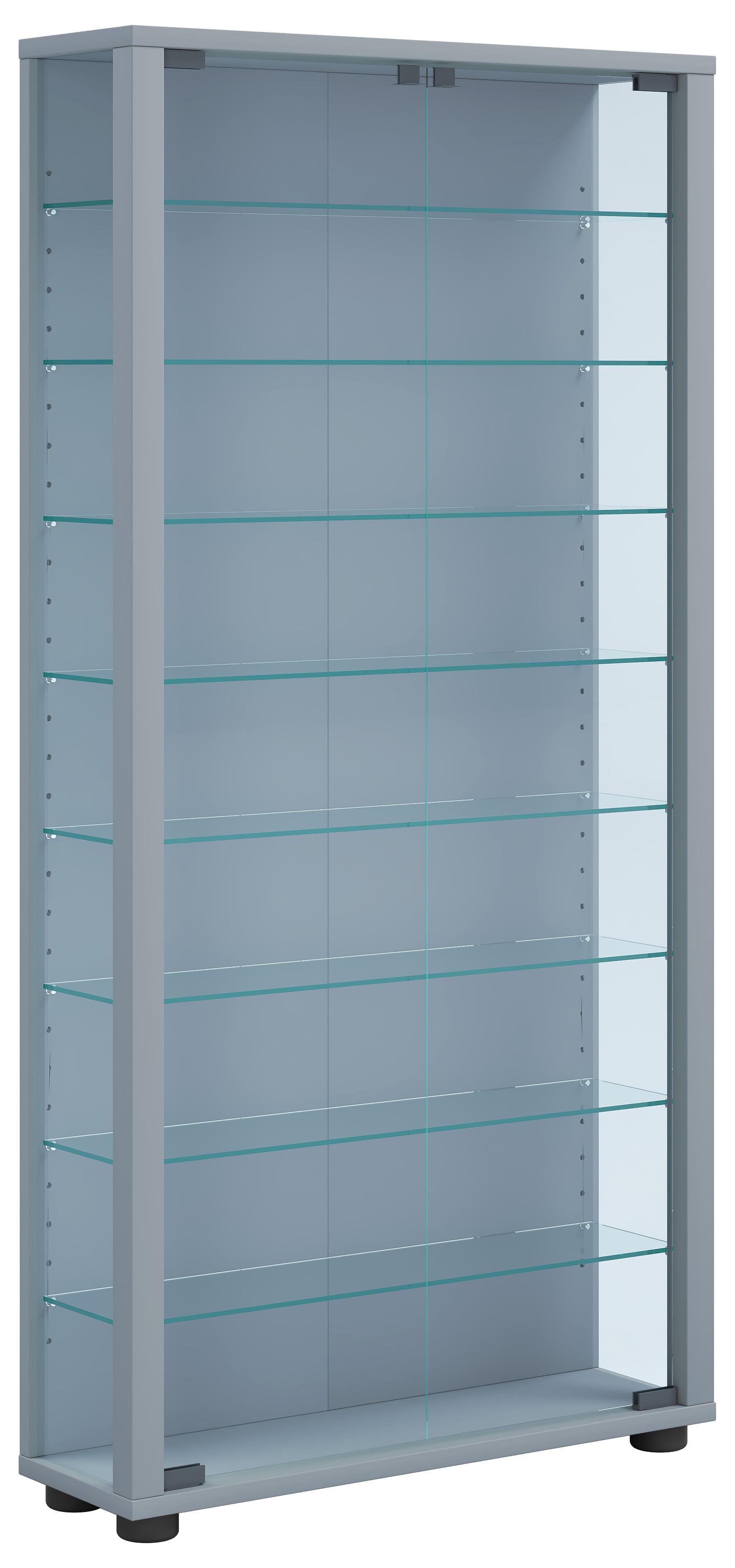 Vitrína, š: 59 cm - barvy stříbra/černá, Design, kompozitní dřevo/plast (59/114,3/18cm) - MID.YOU