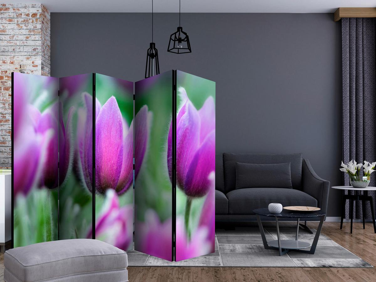 Paravent Grün Violett B: 225 Cm - Violett/Grün, Basics, Holz/Textil (225/172/3cm) - artgeist