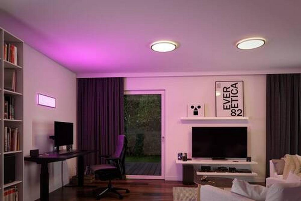 LED-Paneel Ø 29,3 cm Rund dimmbar - Chromfarben, Basics, Kunststoff (29,3cm) - Paulmann