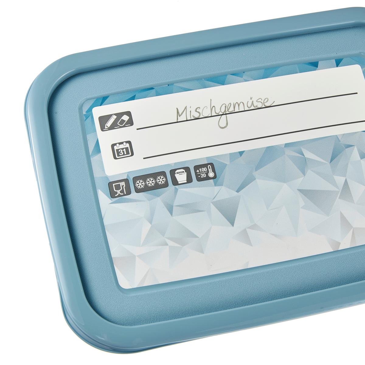 Gefrierdose 2er-Set Mia ca. 2 L Spülmaschinengeeigent - Blau/Weiß, KONVENTIONELL, Kunststoff (20,5/15,5/10,5cm)