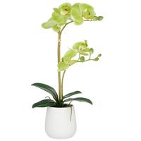 Kunstpflanze Grün Weiß B: 17 cm - Weiß/Hellgrün, Basics, Keramik/Kunststoff (17/55/17cm) - P & B