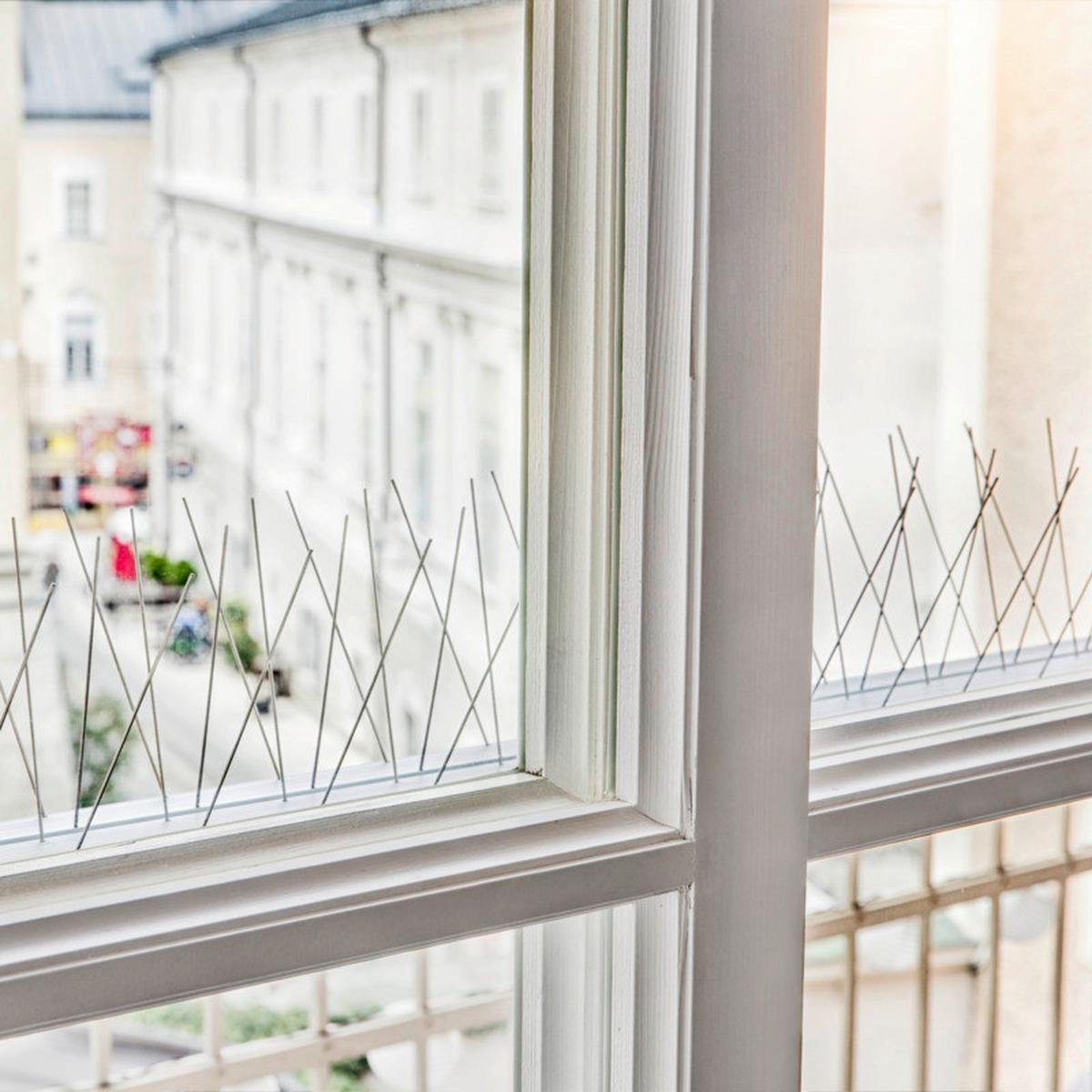 Vogelabwehr Tauben- & Vogelabwehr - Alufarben, Basics, Metall (60/11/5,8cm) - Windhager