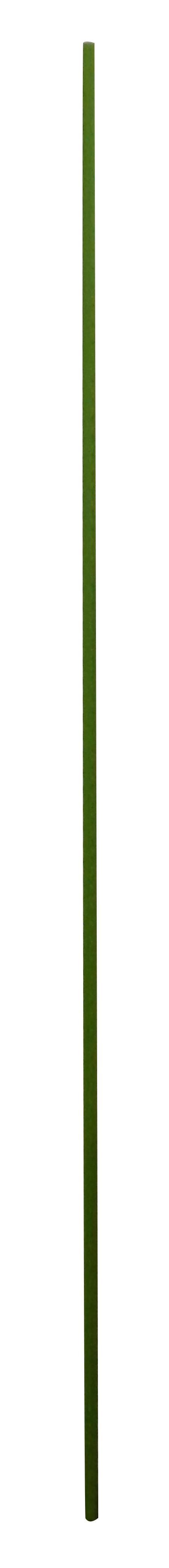 Pflanzstab Gardtech Metall 90 Cm Kunststoffummantelt Grün - Grün, KONVENTIONELL, Kunststoff/Metall (1,1/90cm) - Homezone