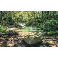 Vliestapete Sh079-Vd4 Tranquil Pool - Natur (400/250cm)