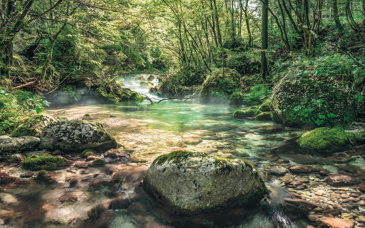 Vliestapete Sh079-Vd4 Tranquil Pool - Natur (400/250cm)