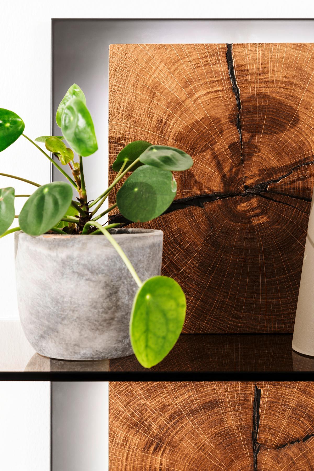 Wandregal Assini Wildeiche B: 60 Cm - Wildeiche/Anthrazit, Design, Glas/Holz (60/91/26cm) - MID.YOU