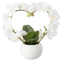 Orchidee Sigrid - Weiß/Grün, KONVENTIONELL, Keramik/Kunststoff (23/10/25cm) - Luca Bessoni