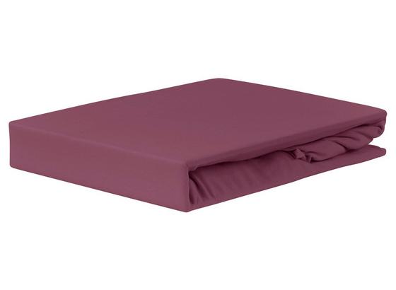 Spannleintuch Jardena 100x200 cm - Aubergine, KONVENTIONELL, Textil (90-100/200cm) - Ombra Spannleintuch Jardena 100x200 cm - Aubergine, KONVENTIONELL, Textil (90-100/200cm) - Ombra