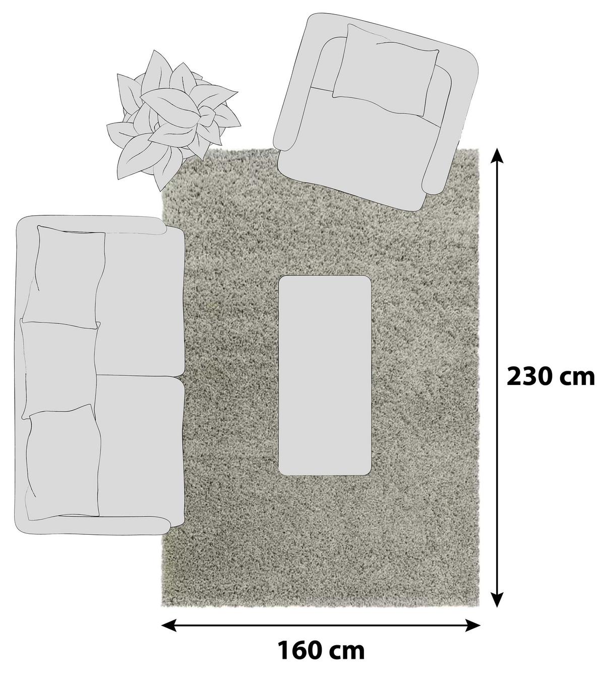 Hochflor Teppich Naturfaser Naturfaser Sydney 160x230 Cm - Naturfarben, Basics, Textil (160/230cm)