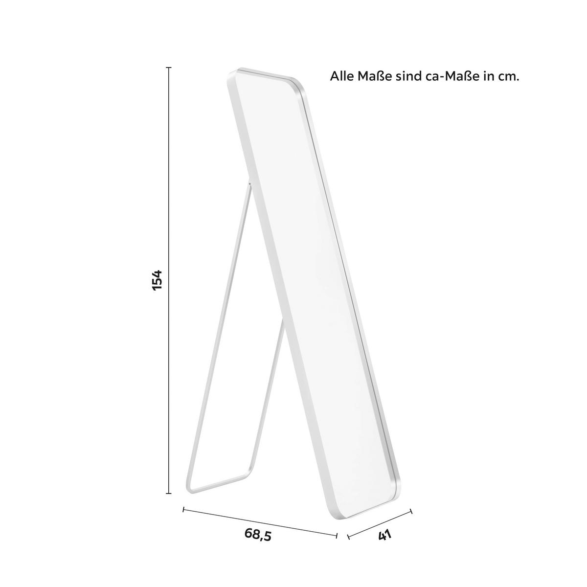Zrkadlo LIV čierny rám - čierna, Modern, kov/sklo (41/154/68,5cm) - Bessagi Home