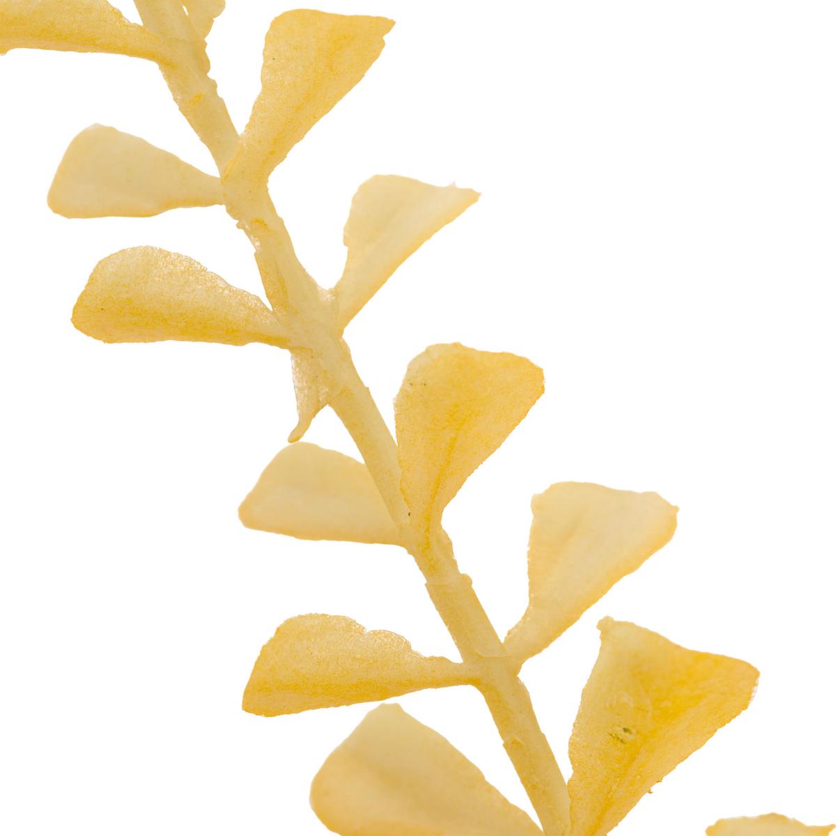 Umelá rastlina STREIFENFARNZWEIG I -PAZ- - žltá, Basics, kov/plast (78cm) - Mömax