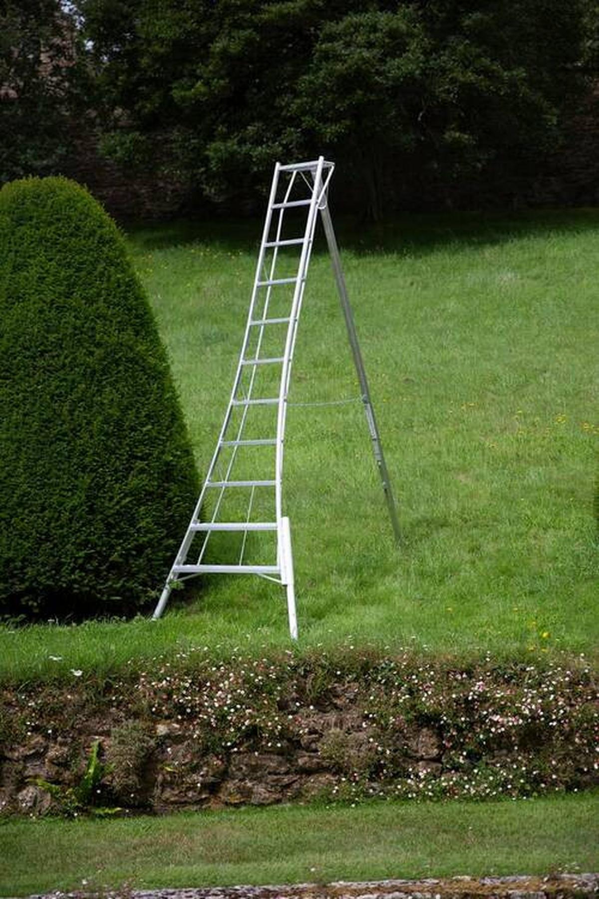 Leiter 3-Holm-Gartenleiter 330cm - Silberfarben, Basics, Metall (248/330/128cm)