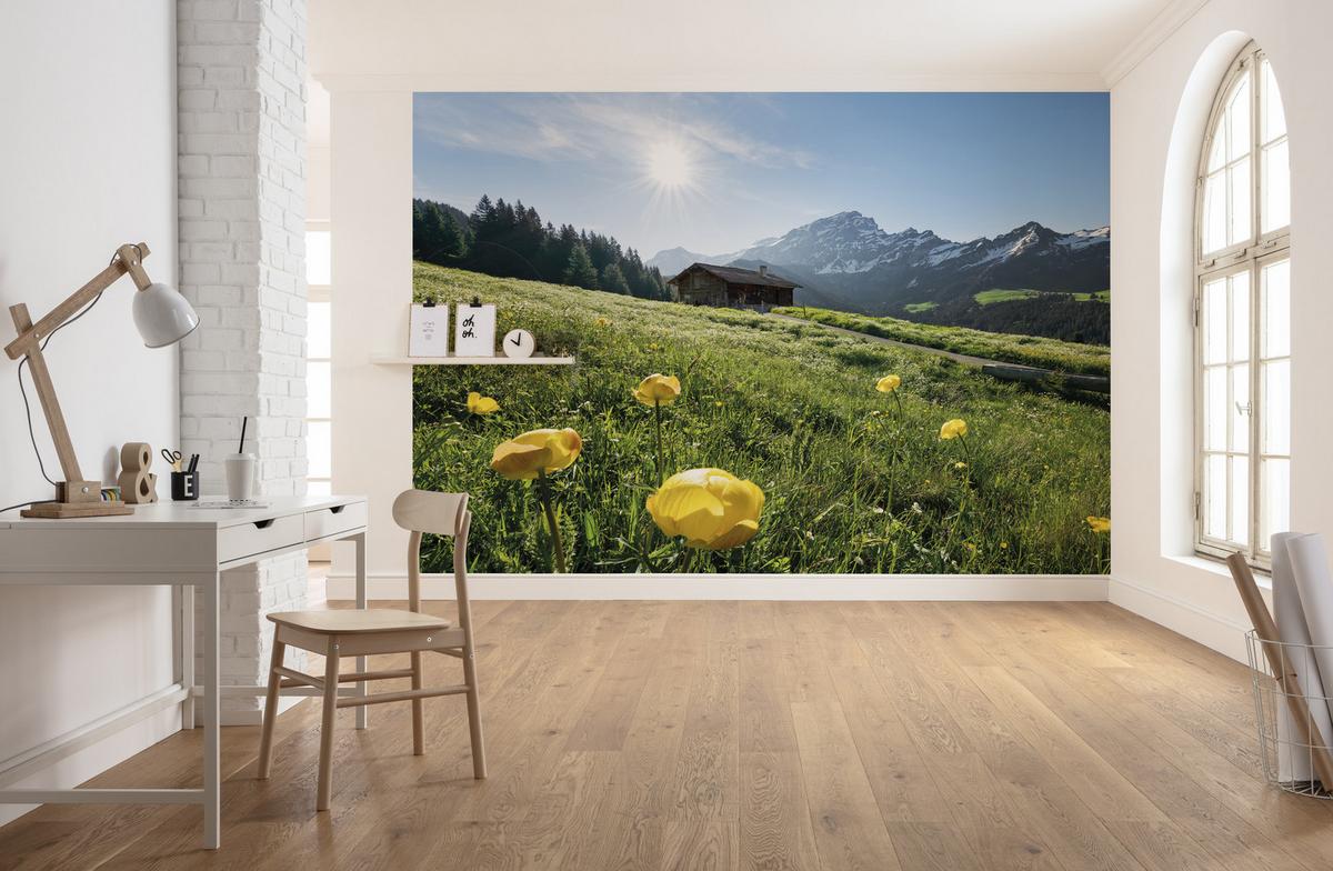 Fototapete Alpenglück - Multicolor, Trend, Textil (400/280cm)