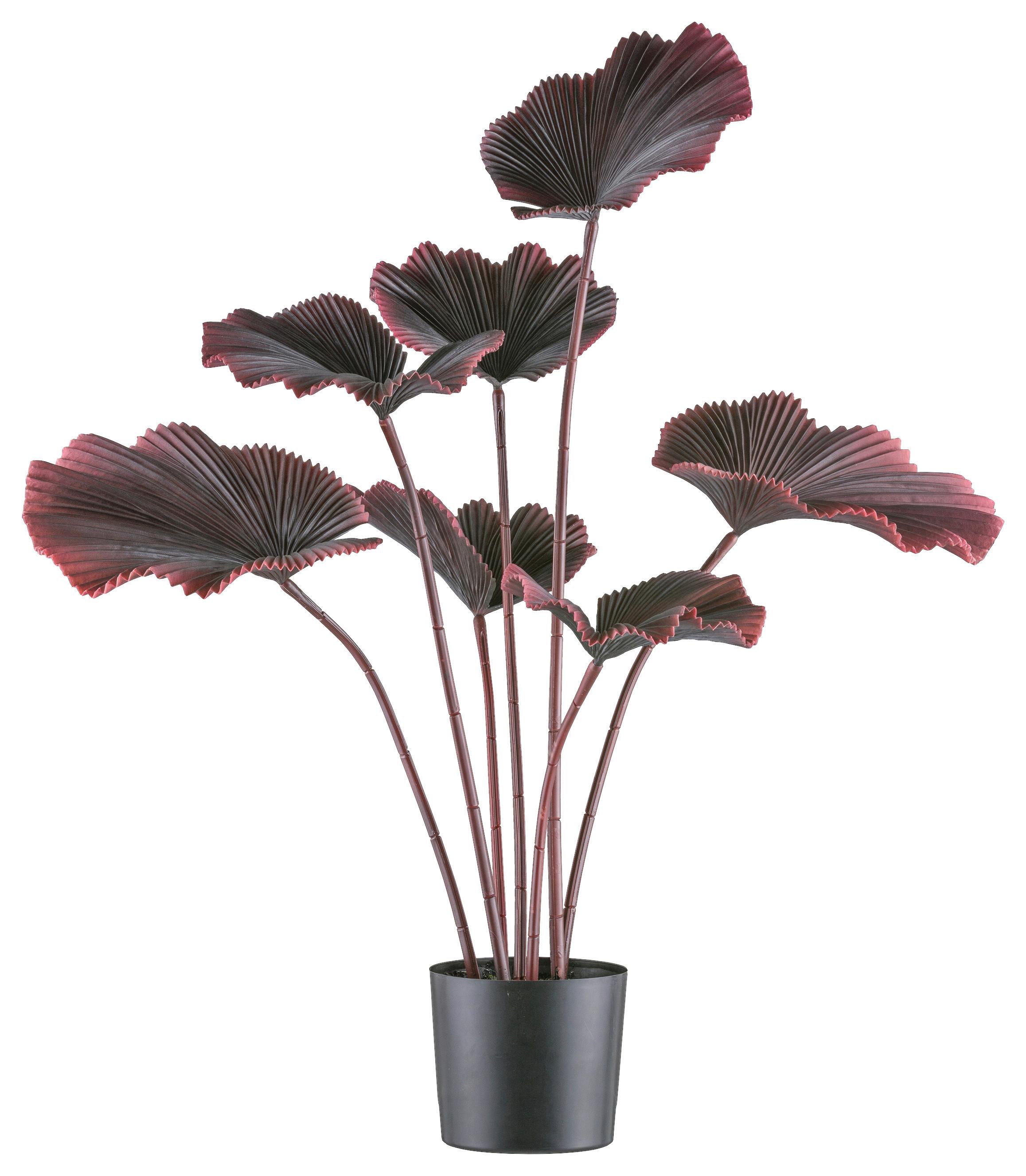 Kunstpflanze Palmen Dunkelrot/Schwarz, 100 cm - Schwarz/Dunkelrot, Design, Kunststoff (100cm)