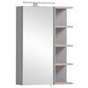 Spiegelschrank Lugo - Grau, MODERN, Glas/Holzwerkstoff (50/74,4/16cm) - MID.YOU