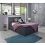 Boxbett Carolina 140x200 Grau - Schwarz/Grau, KONVENTIONELL, Holz/Textil (143/105/209cm) - Carryhome Boxbett Carolina 140x200 Grau - Schwarz/Grau, KONVENTIONELL, Holz/Textil (143/105/209cm) - Carryhome