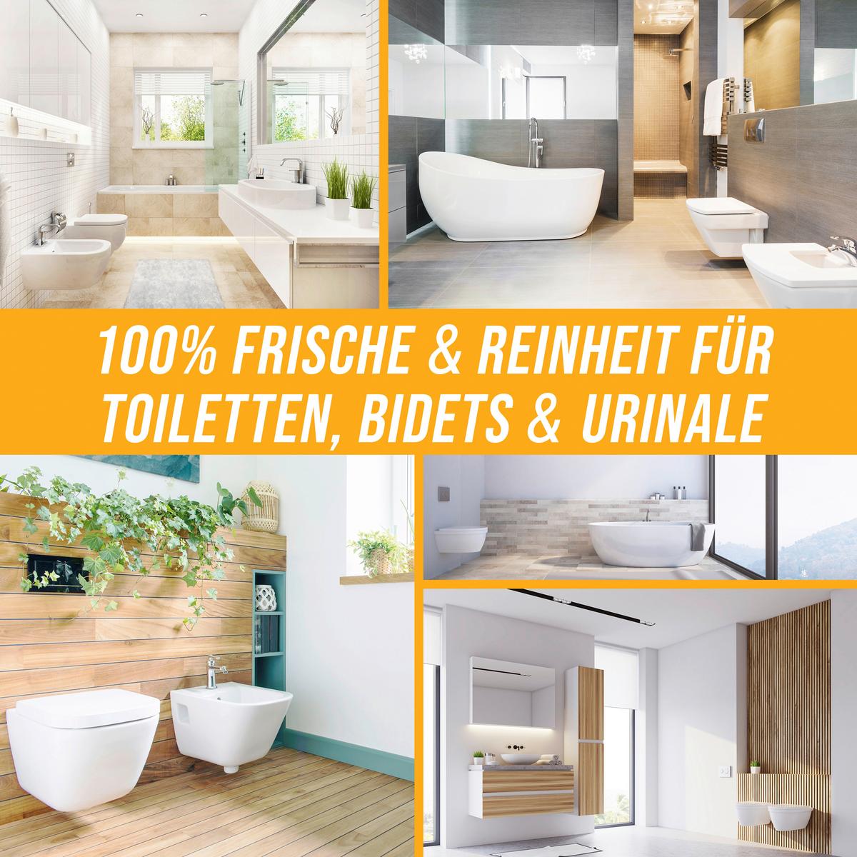 Reinigungsset Urin Kalkstein Killer - Basics (1000ml) - Urban Forest