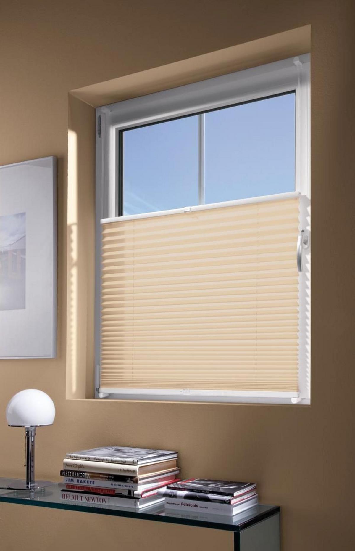 Plissee Free Sandfarben B: 100 Cm - Sandfarben, Basics, Textil (100/130cm) - Homeware