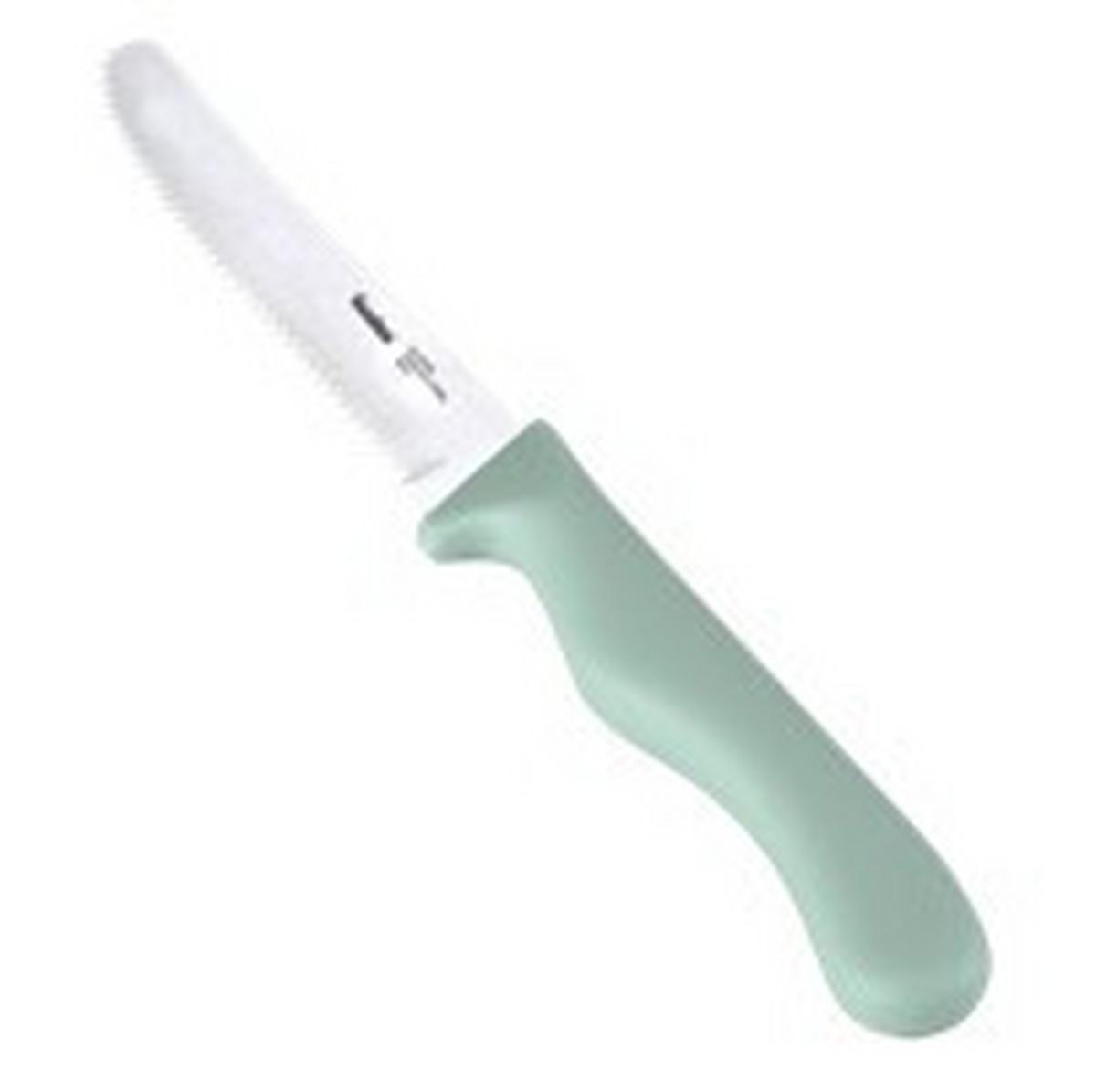 Jausenmesser Maxim Grün B/L: ca. 2,5/22 cm - Edelstahlfarben, Basics, Metall (2,5/22/1,4cm) - Metaltex