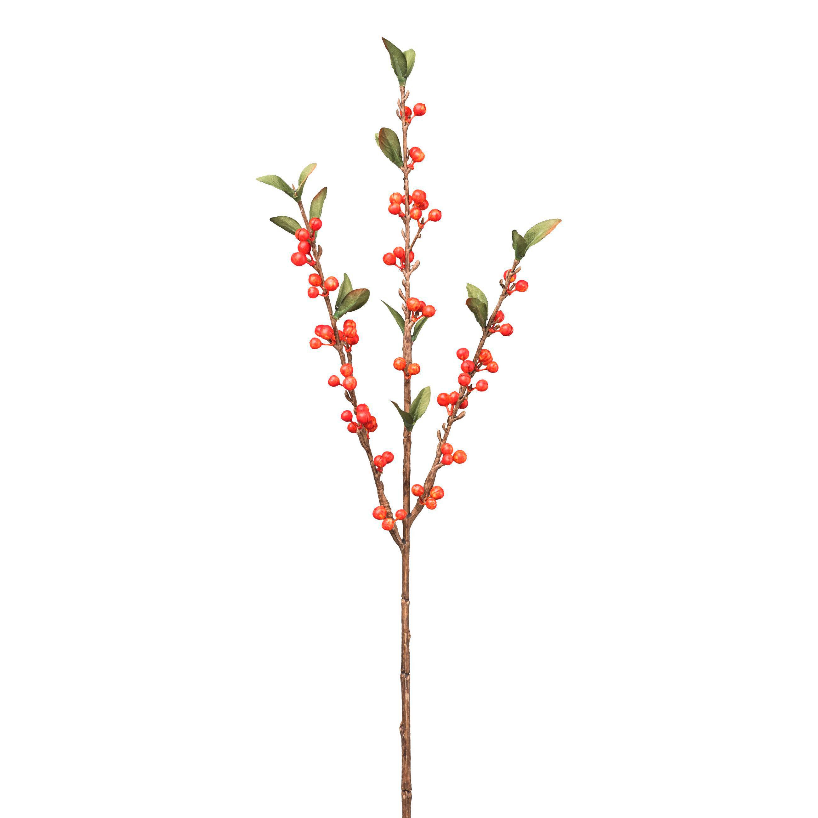 Umělá rostlina CRANBERRYZWEIG I - oranžová/zelená, Basics, plast (60cm) - Mömax
