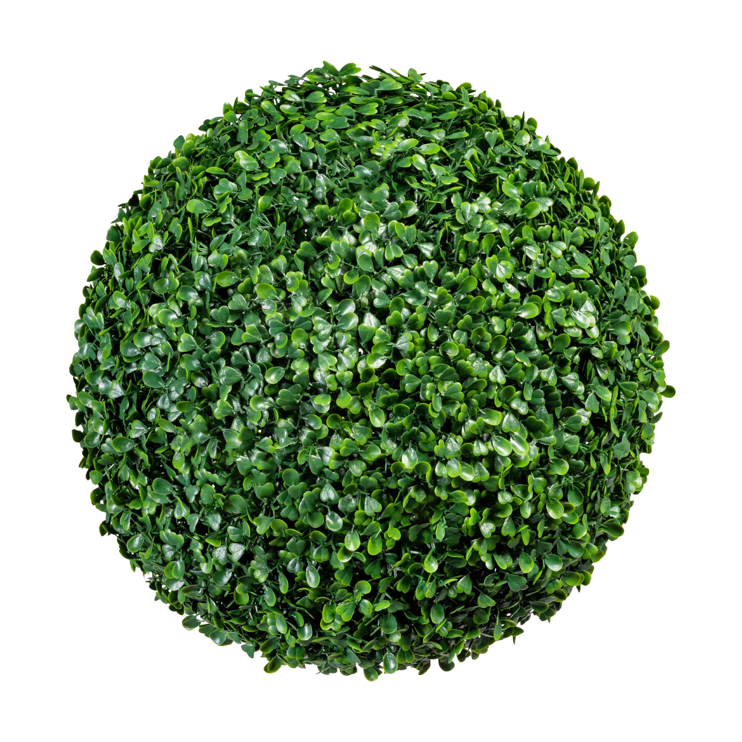 Kunstpflanze Grün, 33 cm - Grün, Design, Kunststoff (33cm)