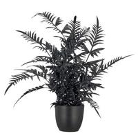 Umělá rostlina PTERIS II -PAZ- - černá/hnědá, Basics, kov/plast (50cm) - Mömax