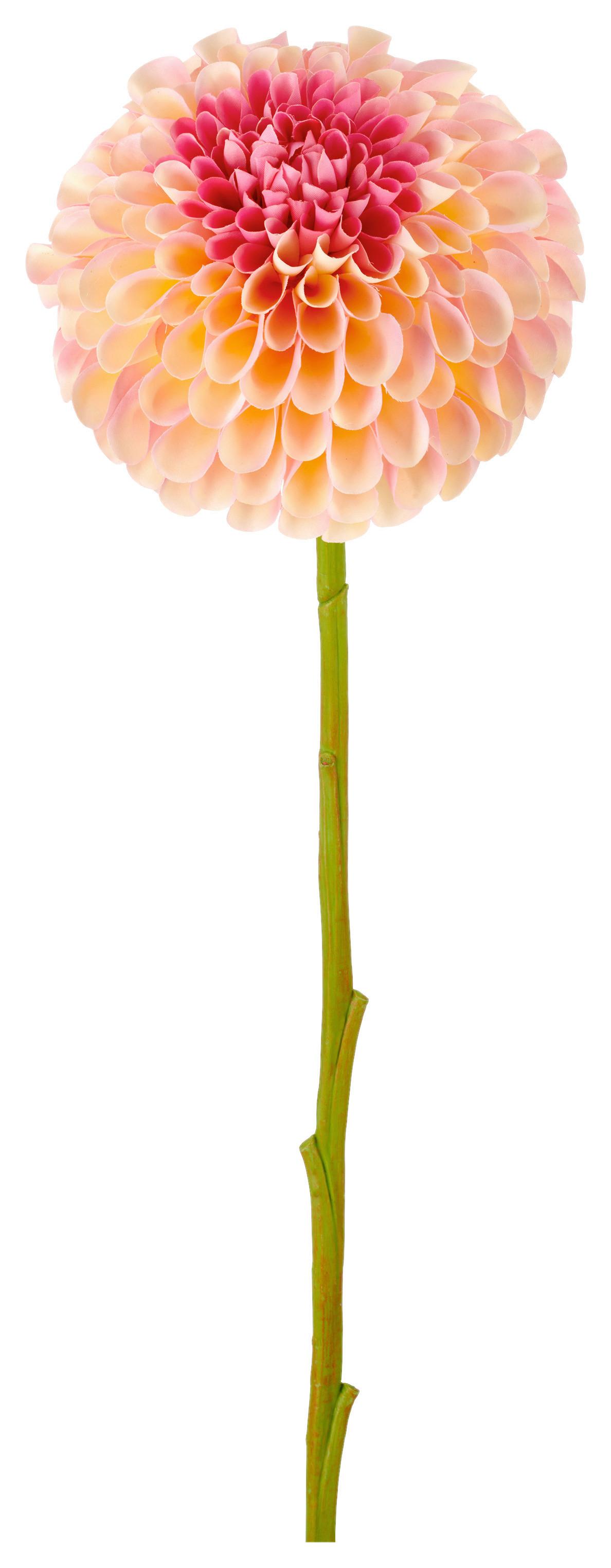 Umelá kvet georgína DAHLIE I -PAZ- - marhuľová/zelená, Basics, kov/textil (73cm) - Mömax