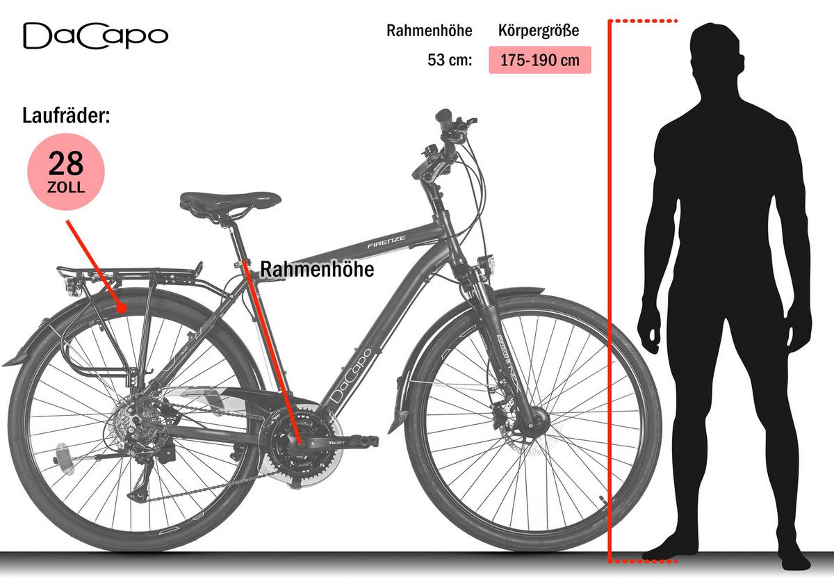 Citybike Herren 28 Zoll - Braun, Basics, Metall