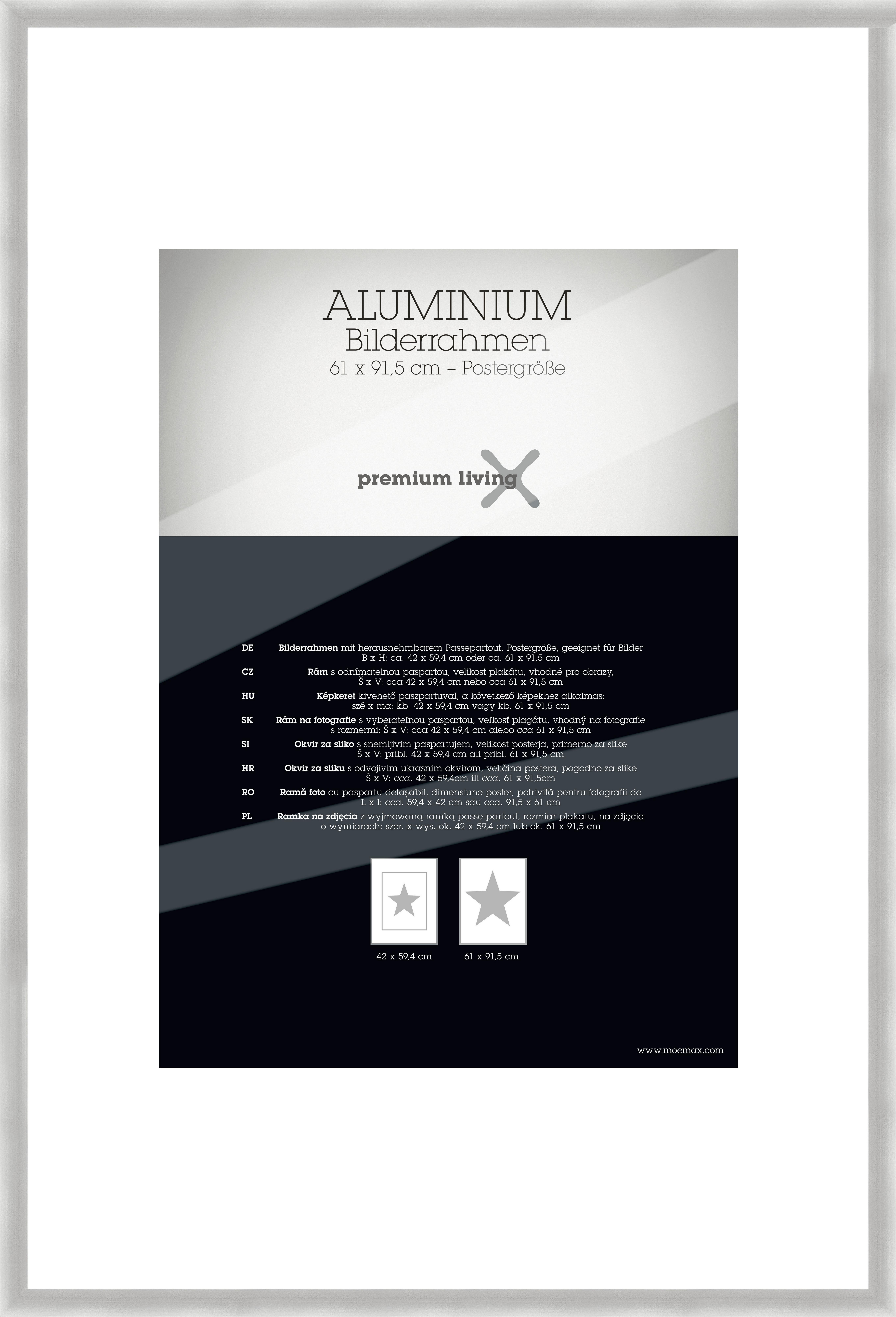 Rám na obrazy 64,3/94,6 cm - barvy stříbra, Basics, kov (64,3/94,6/2.2cm) - Premium Living