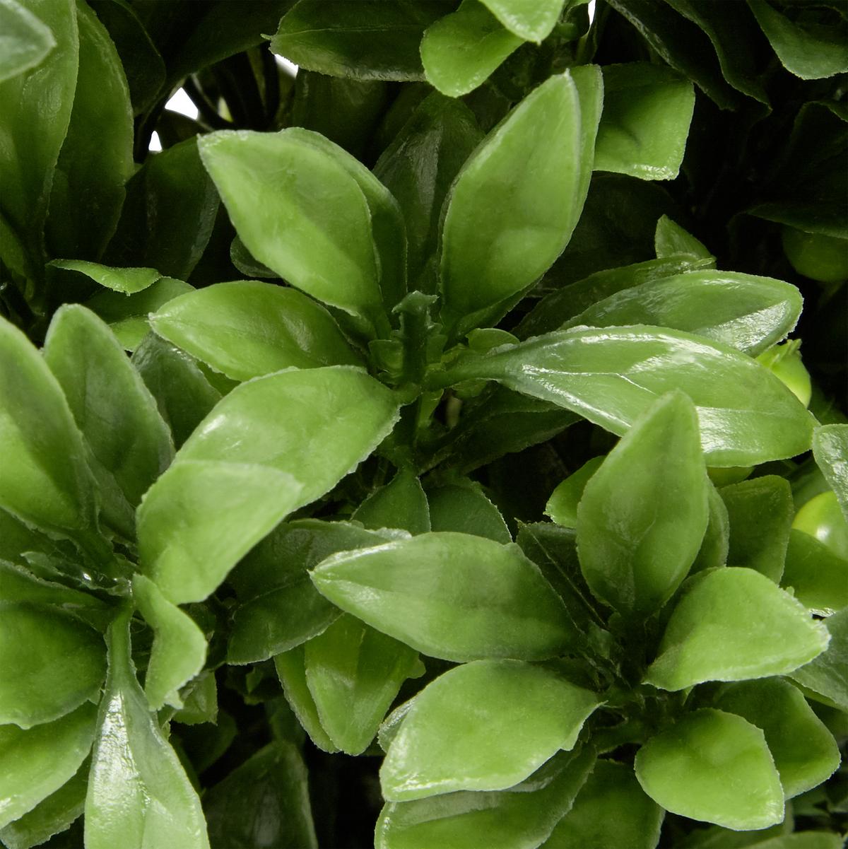 Kunstpflanze Weiß/Grün H: 23 cm Im Topf, Cassandra - Schwarz/Weiß, Basics, Kunststoff (15/23cm) - Luca Bessoni