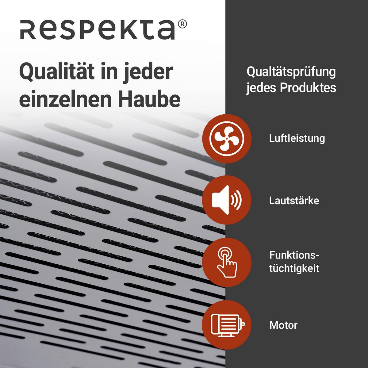 Dunstabzugshaube Suna Edelstahlfarben B: 50 Cm, Led - Edelstahlfarben, Trend, Metall (50/7,6/47cm) - Respekta