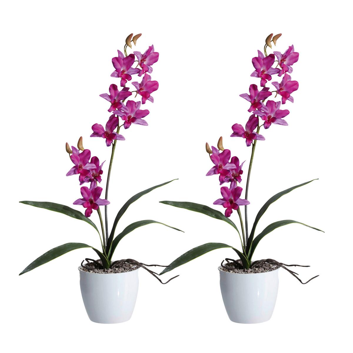 Kunstpflanze Orchideen Lila, Topf: Weiß, H: 60 cm - Lila/Weiß, Design, Keramik/Kunststoff (60cm) - P & B