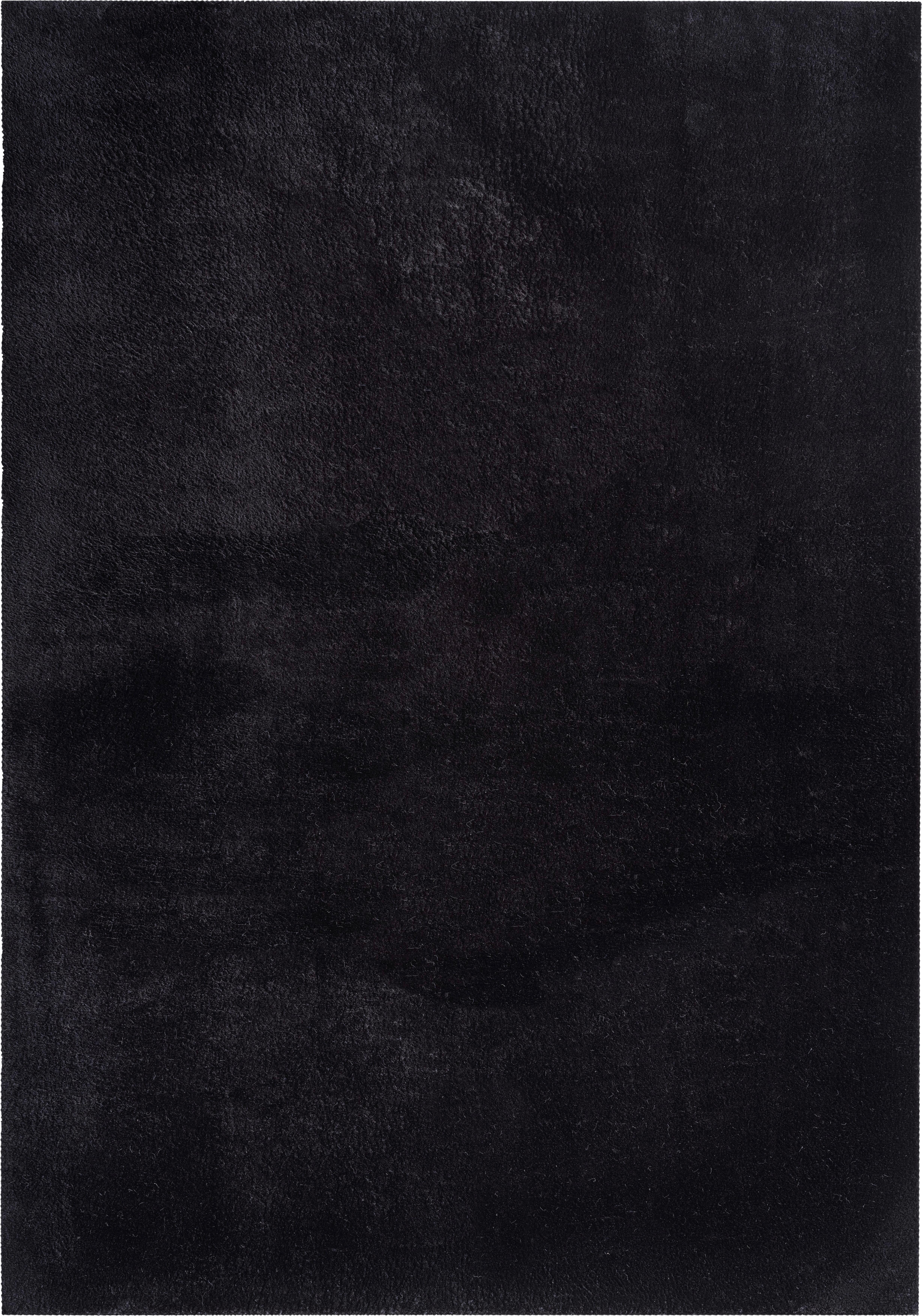 Fellteppich Loft - Schwarz, KONVENTIONELL, Textil (60/110cm)