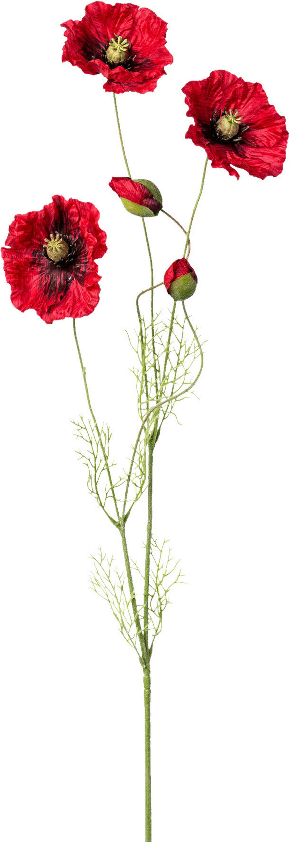 Pipacs Adrian - piros/zöld, Konventionell, műanyag (90cm)