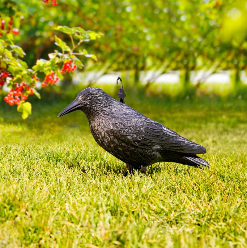 Vogelabwehr Vogel- Und Taubenabwehr Crow - Schwarz, Basics, Kunststoff (12,5/39,5/12,5cm) - Windhager