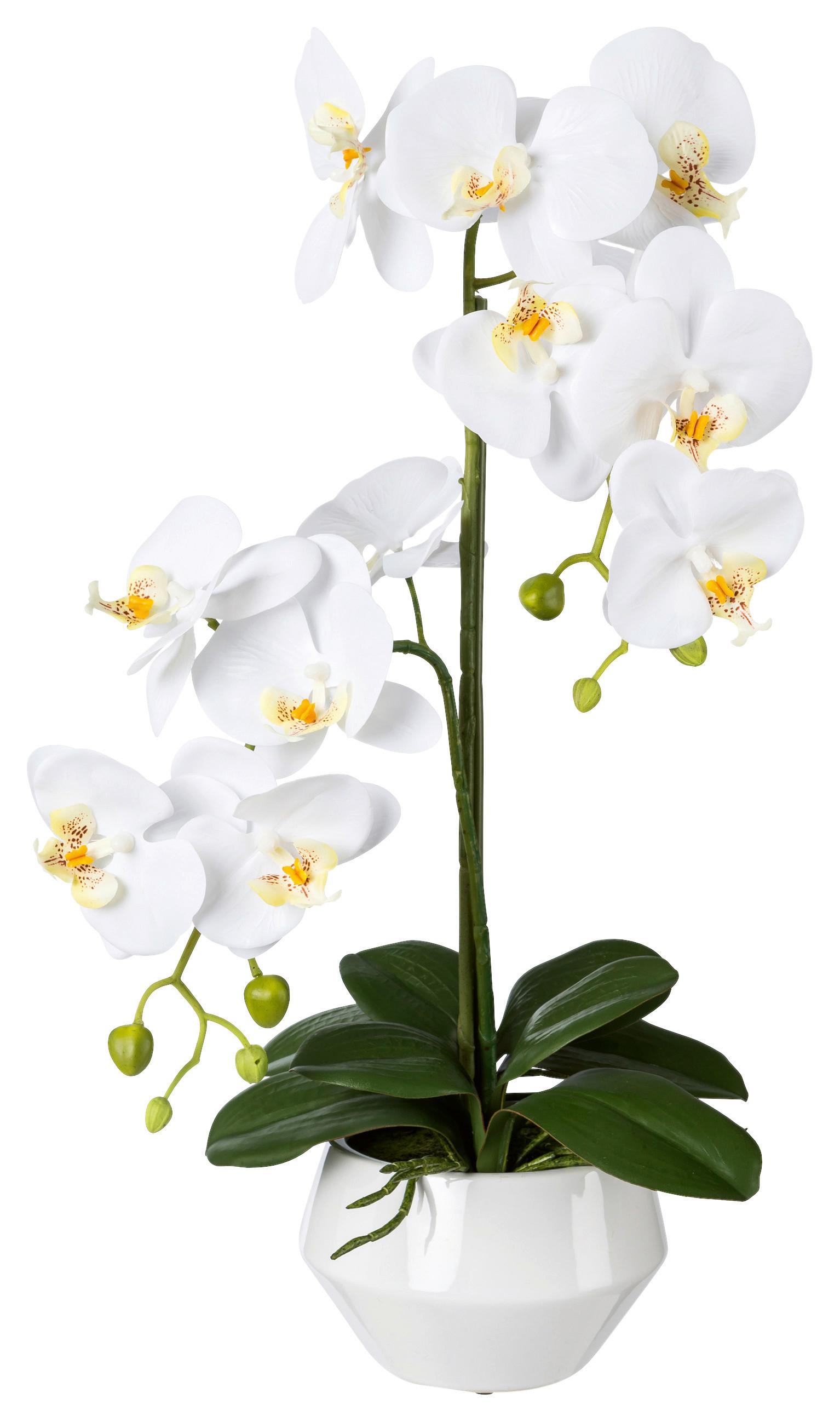 Kunstpflanze Orchideen Weiß, inkl. Topf, H: 52 cm - Weiß/Grün, Design, Keramik/Kunststoff (52cm) - P & B